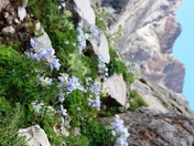 Rocky Mountain National Park
