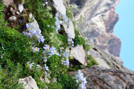 Rocky Mountain National Park