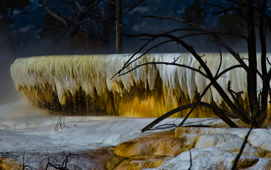 Yellowstone National Park