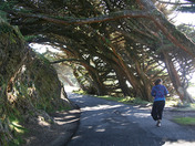 Point Reyes National Seashore