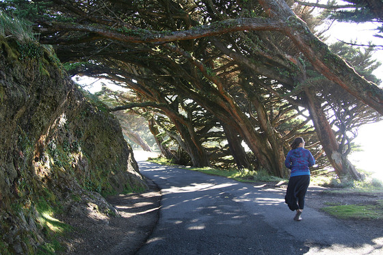 Point Reyes National Seashore