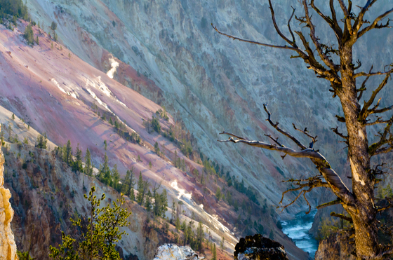 Yellowstone National Park