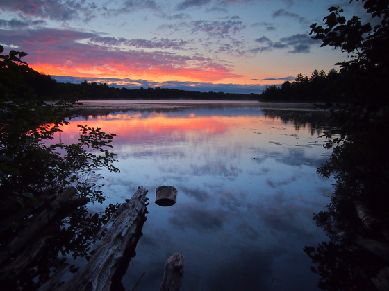 Hiawatha National Forest