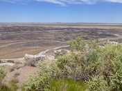Petrified Forest National Park