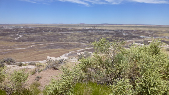 Petrified Forest National Park