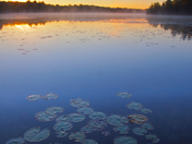 Hiawatha National Forest