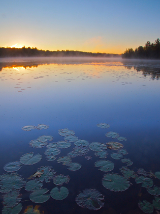 Hiawatha National Forest