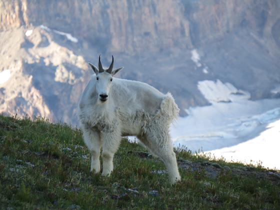 Mount Rainier National Park