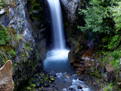 Mt Rainier National Park