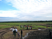 Tourist Gaze on Safari
