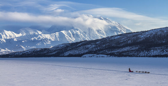 Denali National Park & Preserve