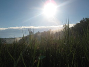 Hiawatha National Forest