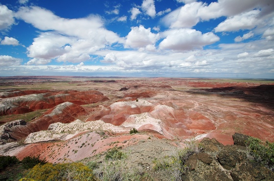 Petrified Forest - Painted Desert National Park