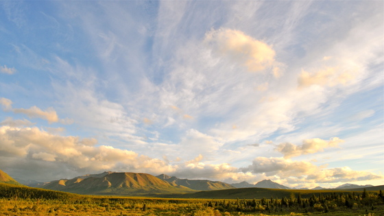 Denali National Park