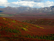 Denali National Park and Preserve 