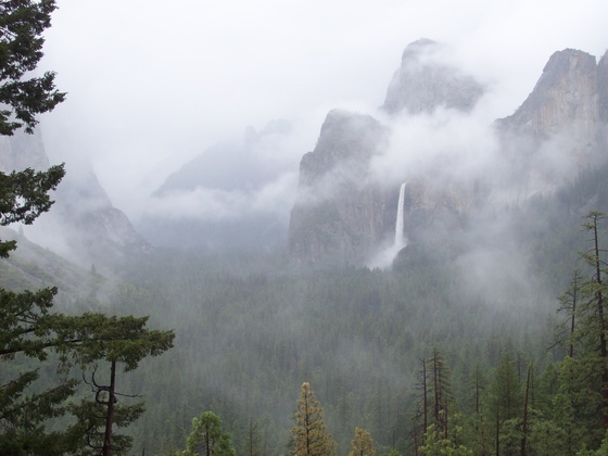 Yosemite National Park 