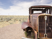 Petrified Forest National Park