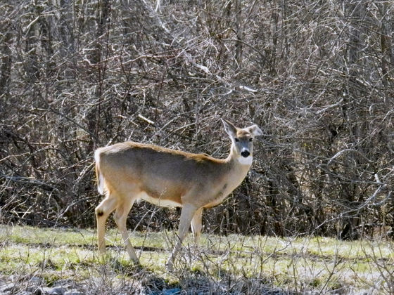 Ottawa National Wildlife Refuge