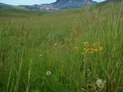red rock lakes national wildlife refuge
