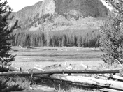 Yellowstone National Park