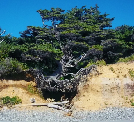 Olympic National Park