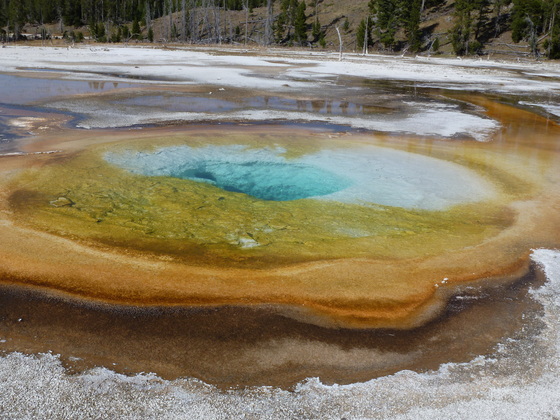 Yellowstone National Park