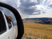 National Elk Refuge. Jackson, WY