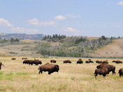 Grand Teton National Park