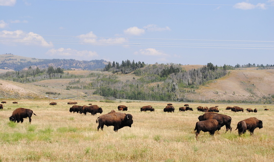 Grand Teton National Park