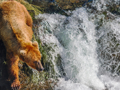 Katmai Nation Park & Preserve