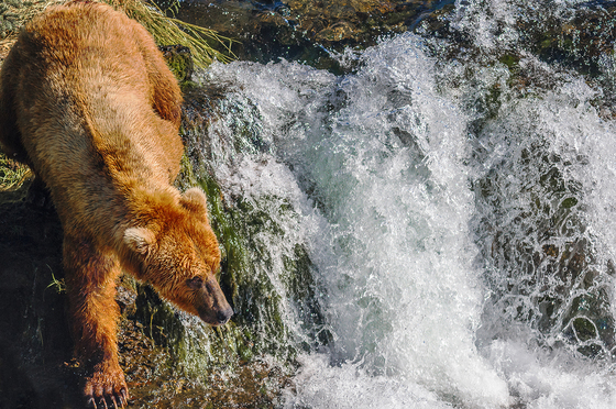 Katmai Nation Park & Preserve