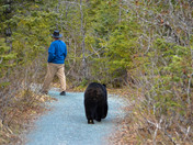 Tongass National Forest