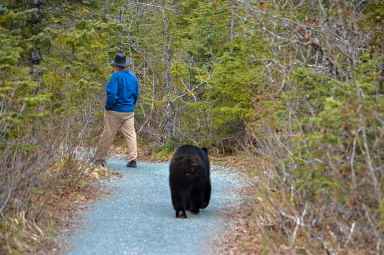 Tongass National Forest