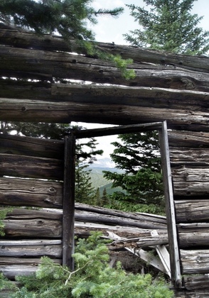 Roosevelt National Forest