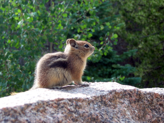 Rocky Mountain National Park
