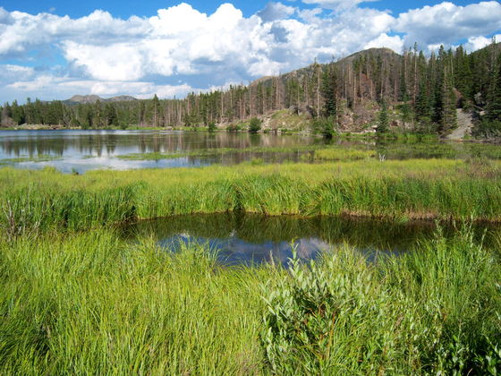 Rocky Mountain National Park