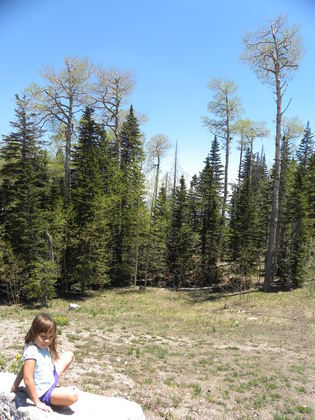 Sandia National Forest