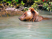 Lake Clark National Park