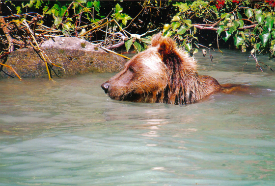 Lake Clark National Park