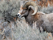 Rio Grande del Norte National Monument