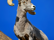 Rio Grande del Norte National Monument