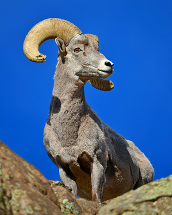 Rio Grande del Norte National Monument