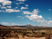 Mojave National Preserve