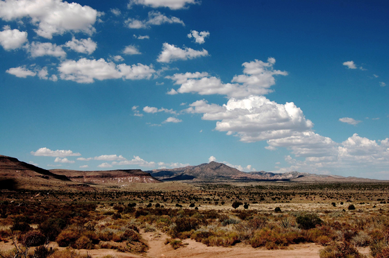 Mojave National Preserve