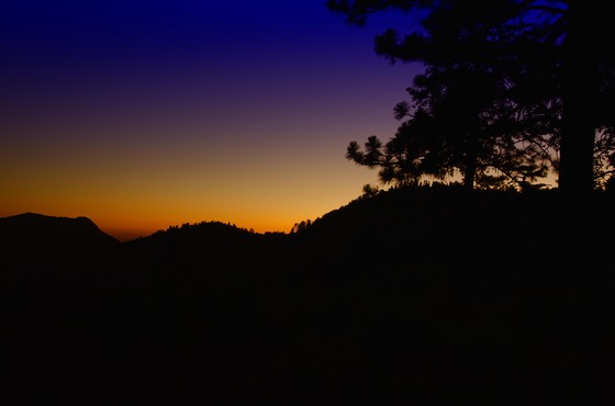 Sequoia National Park