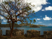 Virgin Islands National Park