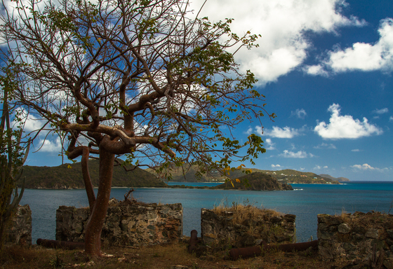 Virgin Islands National Park