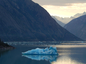 Tongass National Forest