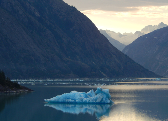 Tongass National Forest