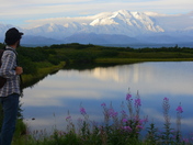 Denali National Park 